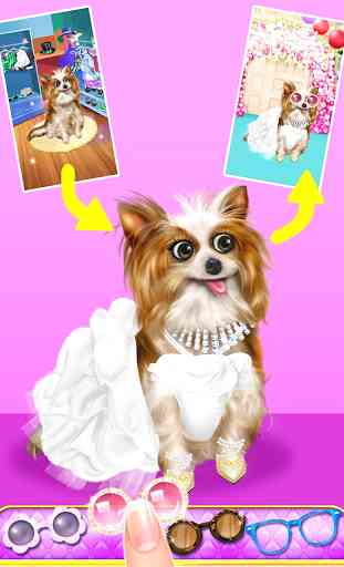 Pet Wedding Party Beauty Salon 3