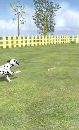 Play with your Dog: Dalmatian 1