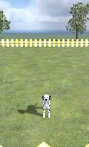 Play with your Dog: Dalmatian 4