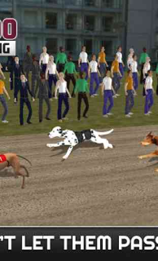 Racing 100 mètres Sprint Dog 1