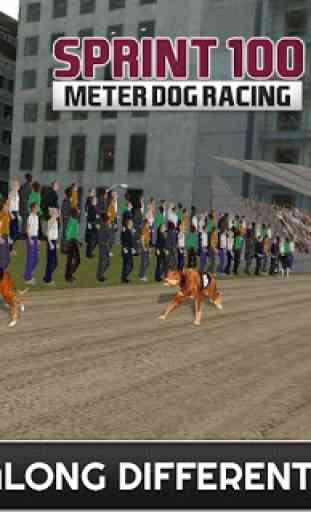 Racing 100 mètres Sprint Dog 2