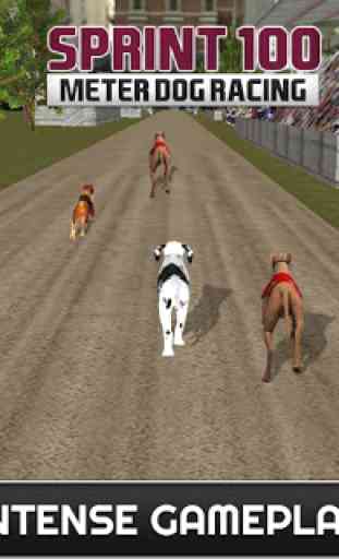 Racing 100 mètres Sprint Dog 4