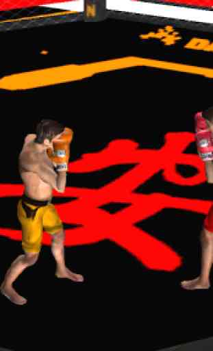 Réel Combat de boxe 2016 3
