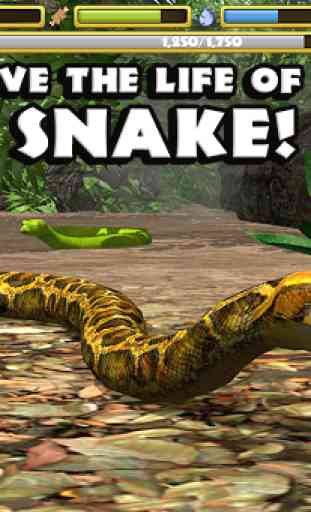 Snake Simulator 1