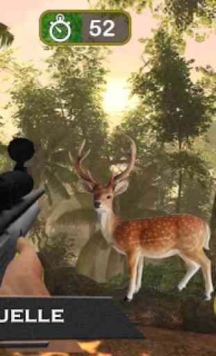 sniper la chasse des animaux 2