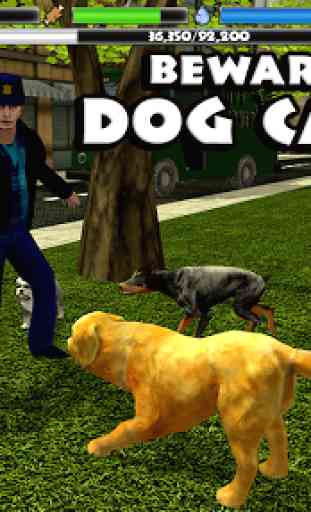 Stray Dog Simulator 4