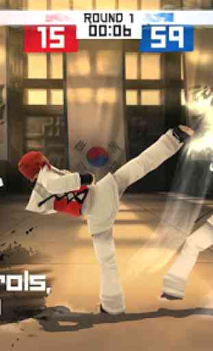 Taekwondo Game 2