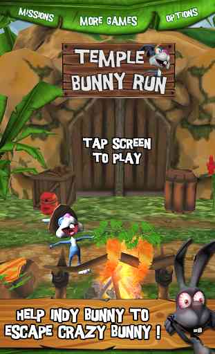 Temple Bunny Run 1