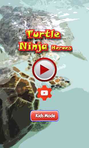 Turtle Ninja heroes 1