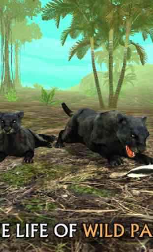 Wild Panther Sim 3D 1