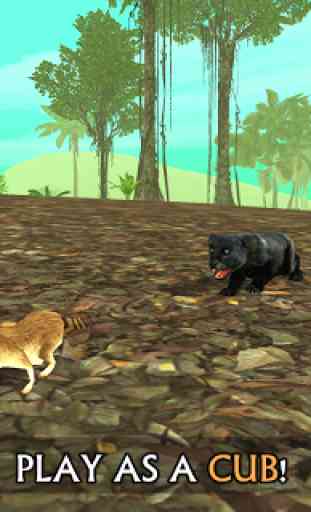 Wild Panther Sim 3D 3