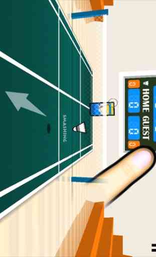 3D Badminton 4