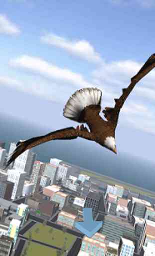 Aigle Bird City Simulator 2015 1