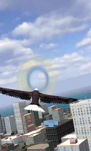 Aigle Bird City Simulator 2015 3