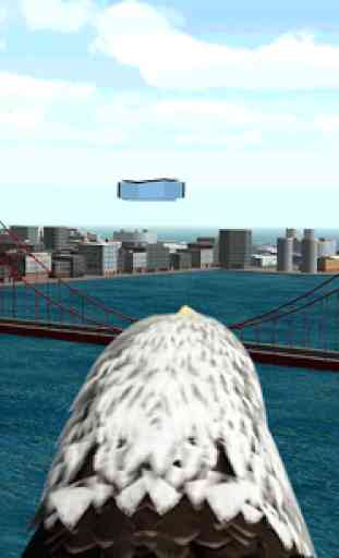 Aigle Bird City Simulator 2015 4