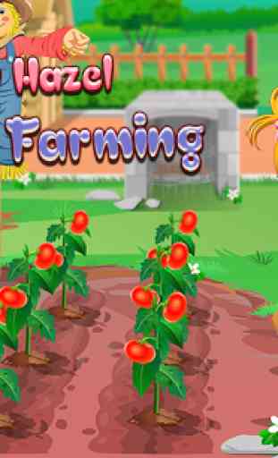 Baby Hazel Tomato Farming 1