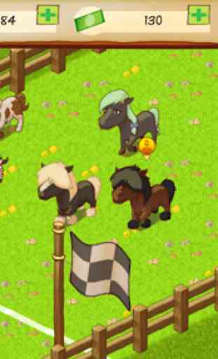 Cheval Park Tycoon 3