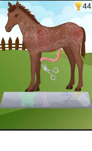 chirurgie grossesse cheval 2 1