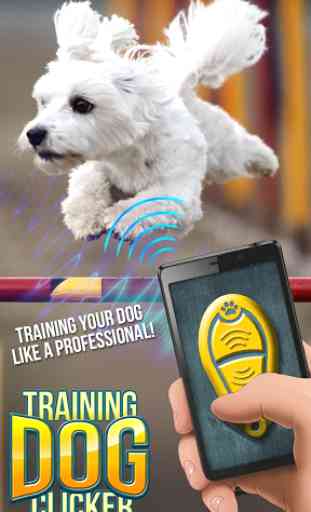 Dog Training Clicker 1