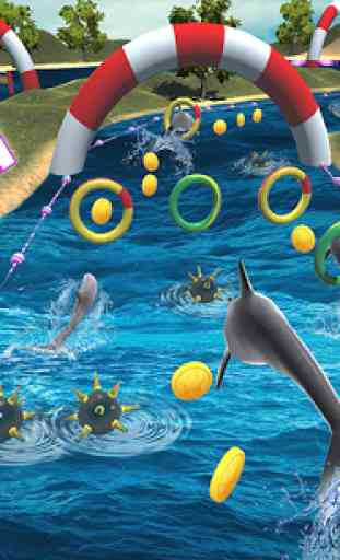 Dolphin Racing Simulator 3D 2