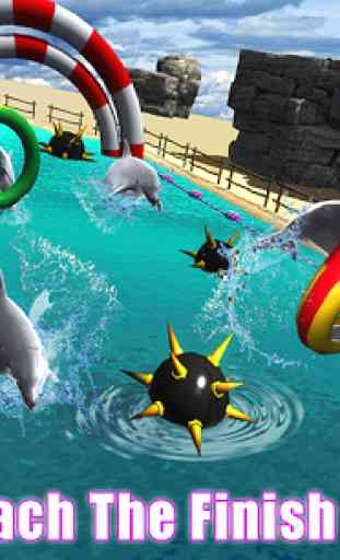 Dolphin Racing Simulator 3D 3