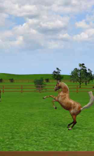 Jumpy Horse Breeding 3