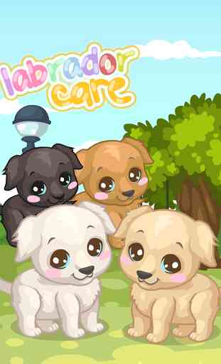 Labrador Puppy Care 1
