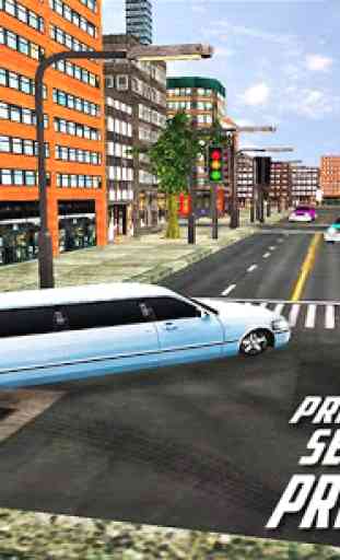 limo taxis ville pilote pointe 2