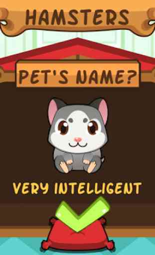 Mon Hamster Virtuel - Animal 3
