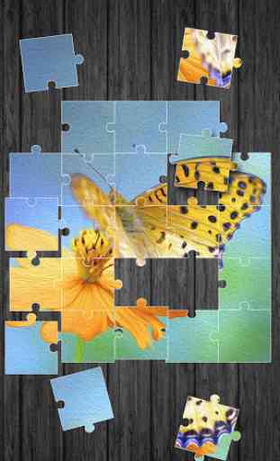 Papillon Jeux De Puzzle 2