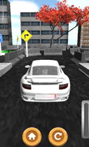 Parking Speed ​​Race 3D 1