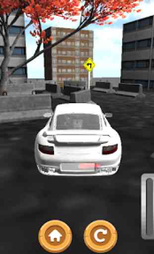 Parking Speed ​​Race 3D 4