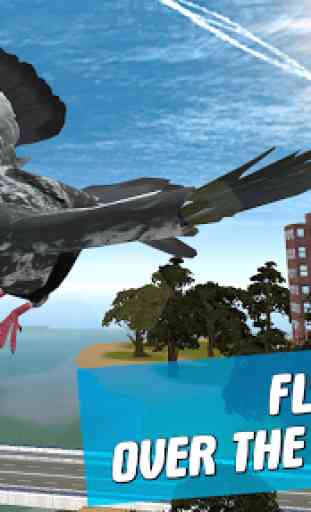 Simulateur de Pigeon Oiseau 3D 1