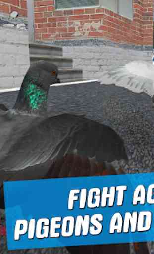 Simulateur de Pigeon Oiseau 3D 2
