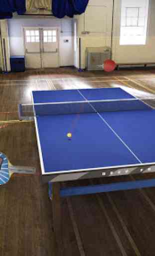 Table Tennis Touch 4