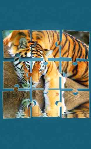 Tigre Jeux de Puzzle 1