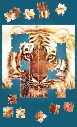 Tigre Jeux de Puzzle 3
