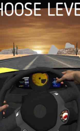 Traffic Racing - Drivers View 3