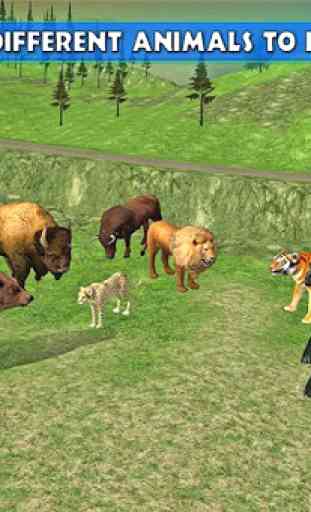 zoo transport des animaux Heli 4