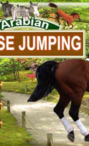 Arabian saut de cheval 1