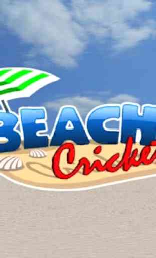 Beach Cricket 1