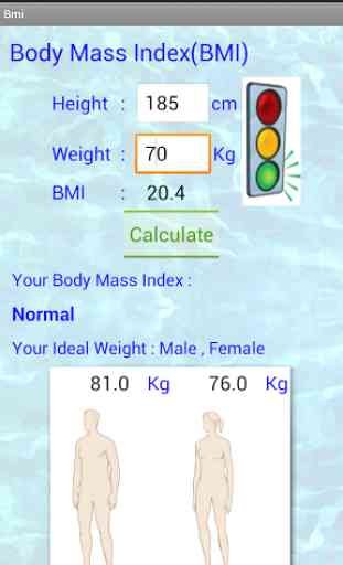 BMI    Body Mass Index 2