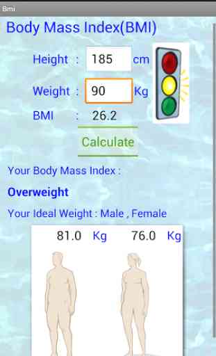 BMI    Body Mass Index 3