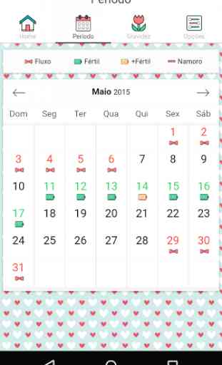 Calendário Ciclo Menstrual 2