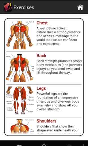Dumbbell Muscle Workout Plan T 4