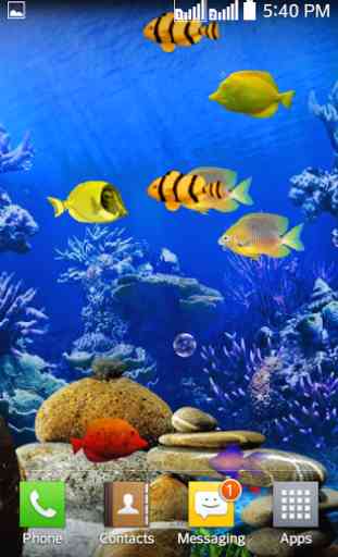 Fishes Live Wallpaper 2017 1