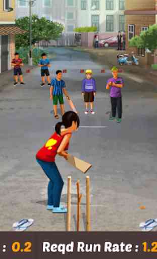 Gully Cricket Game - 2017 2