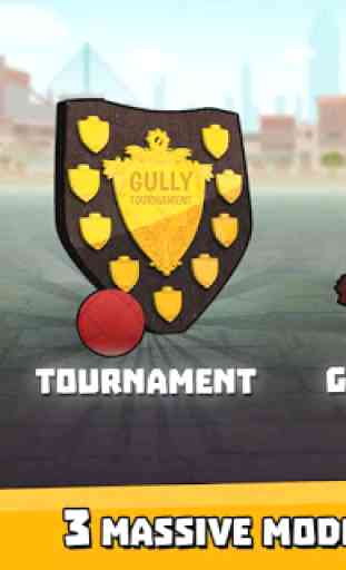 Gully Cricket Game - 2017 4