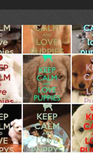 Keep Calm 4 PUPPIES 4