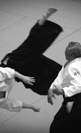 La pratique de l'Aikido 2